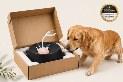 Die Orlano-Spinbowl. Weniger Stress, langsamer essen, glücklichere Hunde