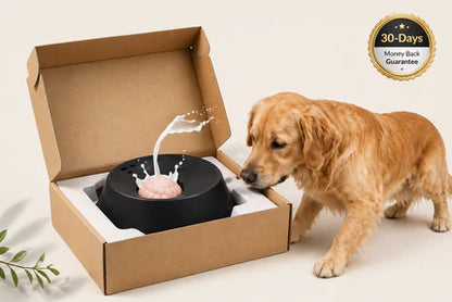 Die Orlano-Spinbowl. Weniger Stress, langsamer essen, glücklichere Hunde